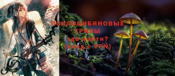 дмт Алексин