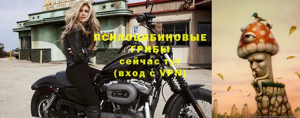 дмт Алексин