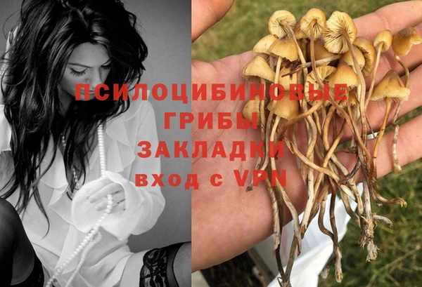 дмт Алексин