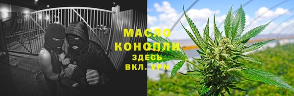 дмт Алексин
