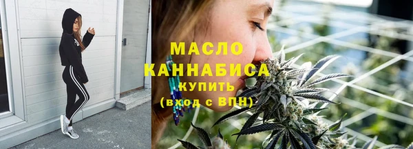дмт Алексин